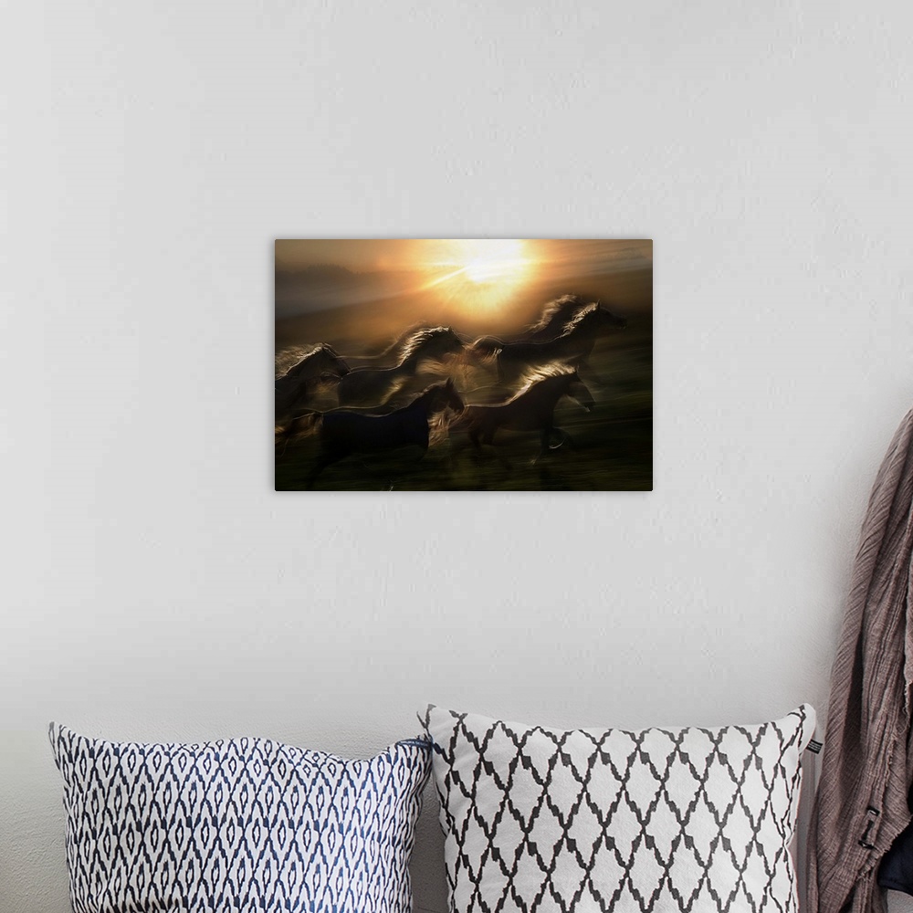 A bohemian room featuring A herd of horses galloping in the rising of the sun.