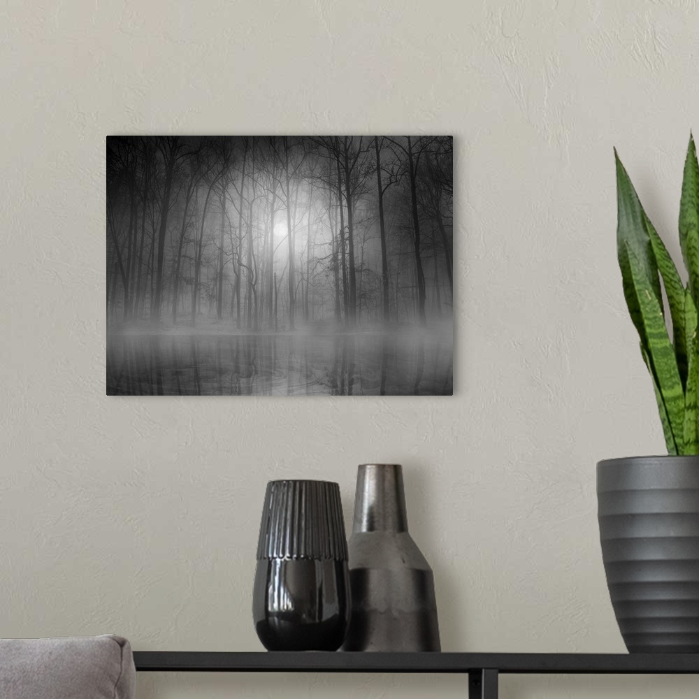 A modern room featuring An eerie foggy forest scene casting its reflection in the water below.