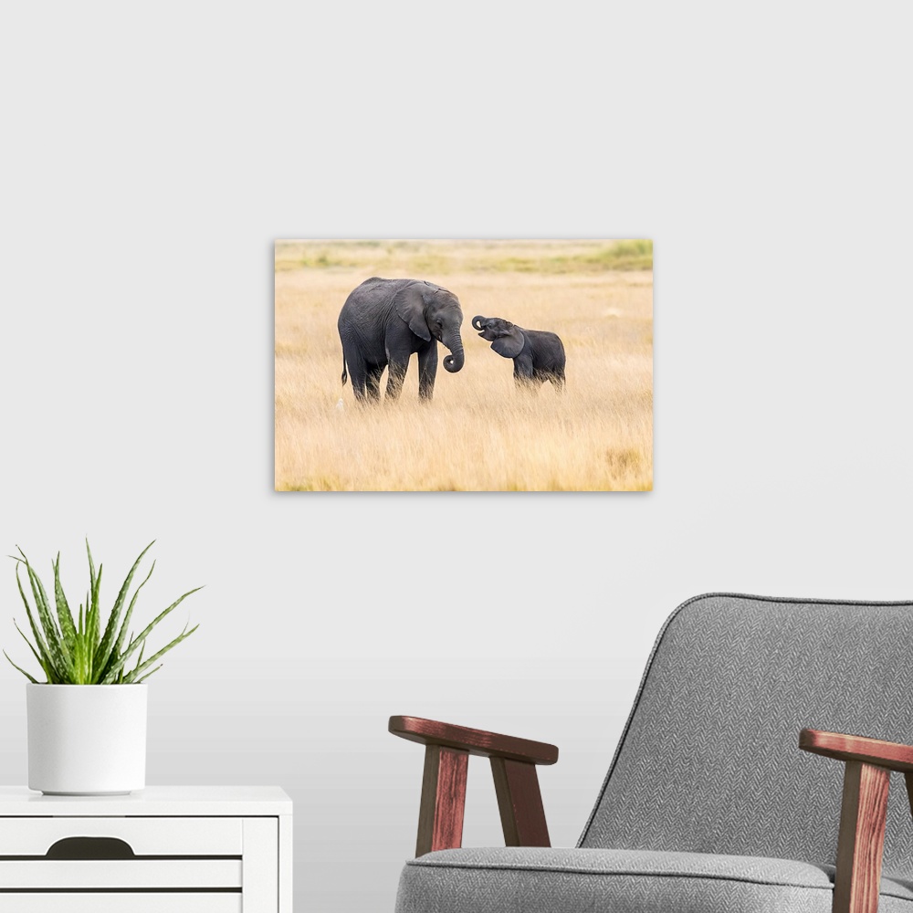 A modern room featuring Mother And Baby Elephants