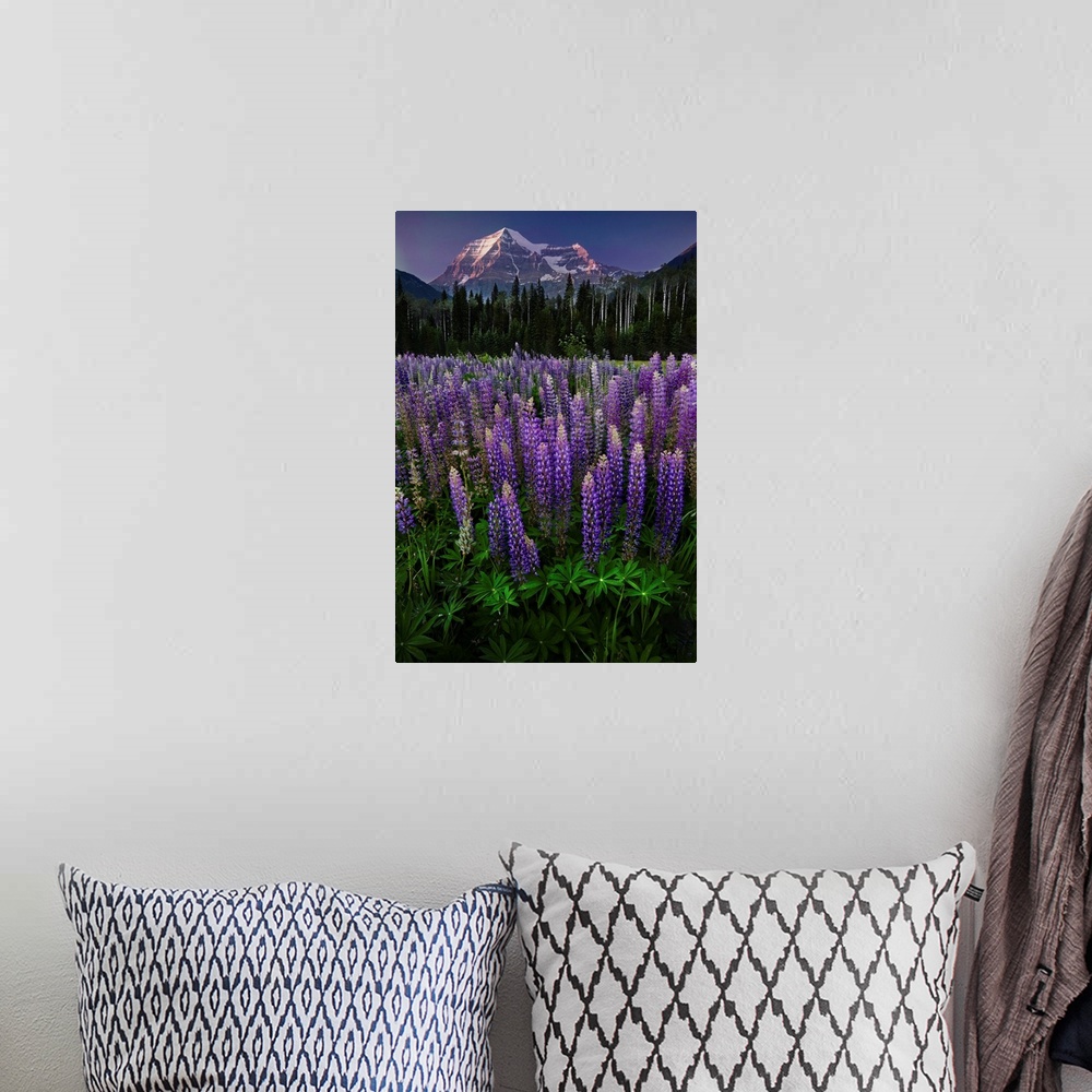 A bohemian room featuring Mt Robson