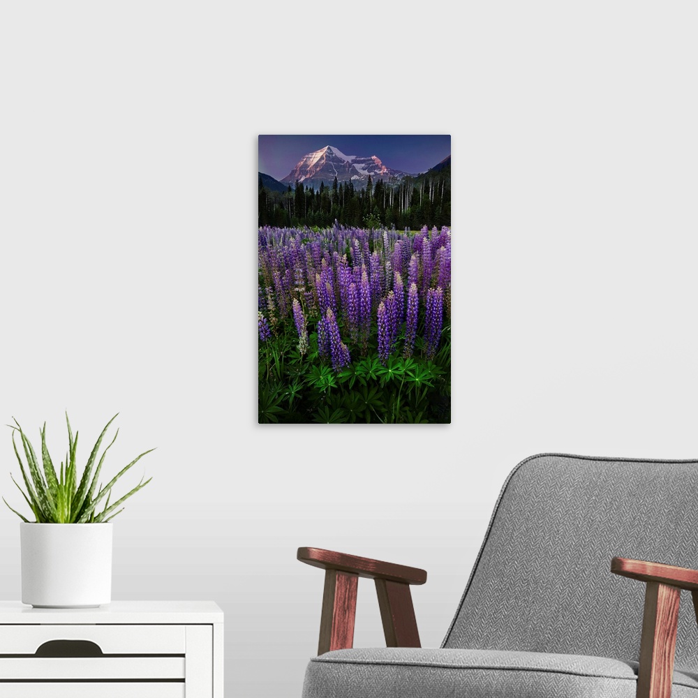 A modern room featuring Mt Robson