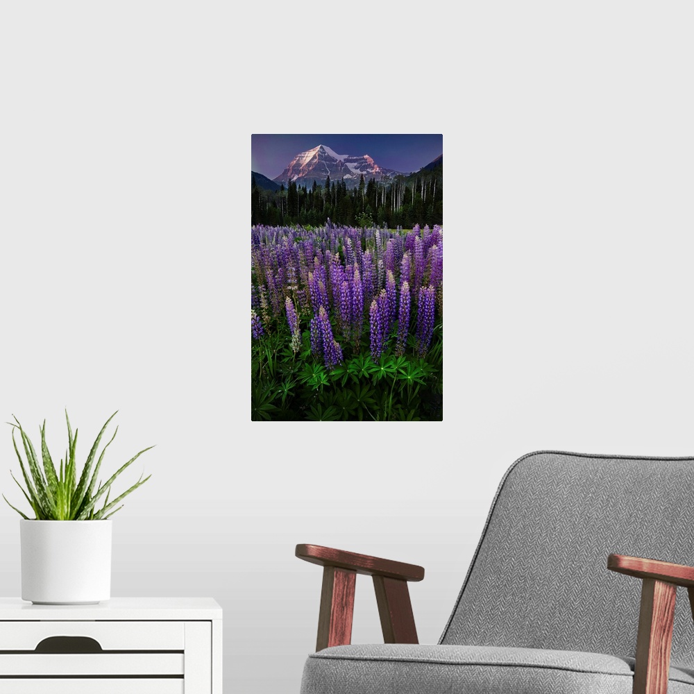 A modern room featuring Mt Robson