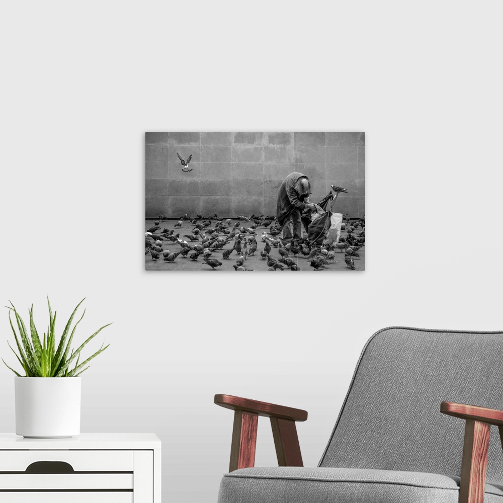 A modern room featuring A man feeding a flock of pigeons in the streets of Paris.