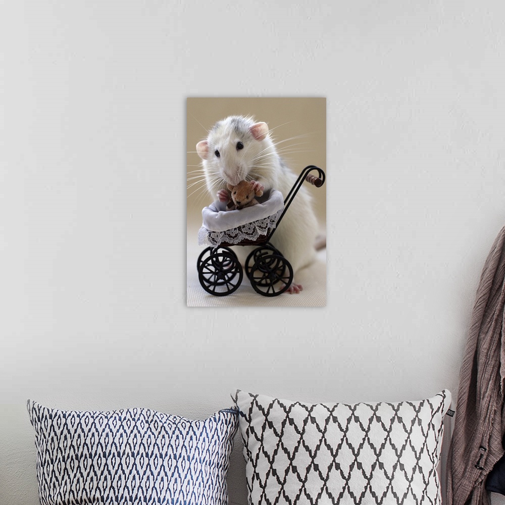 A bohemian room featuring A cute rat with a dollhouse stroller holds a miniature teddy bear.