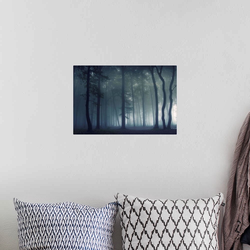 A bohemian room featuring A dramatic photograph of a silhouetted forest covered in fog.