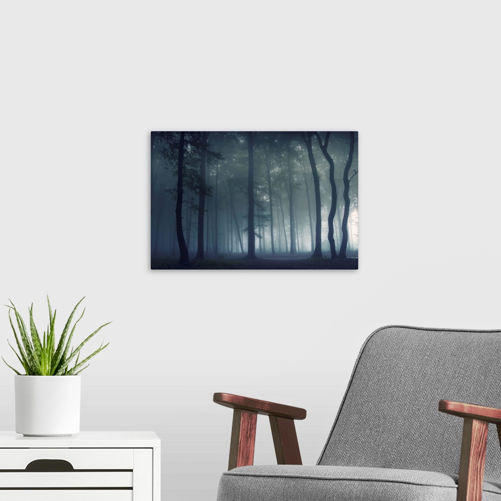 A modern room featuring A dramatic photograph of a silhouetted forest covered in fog.
