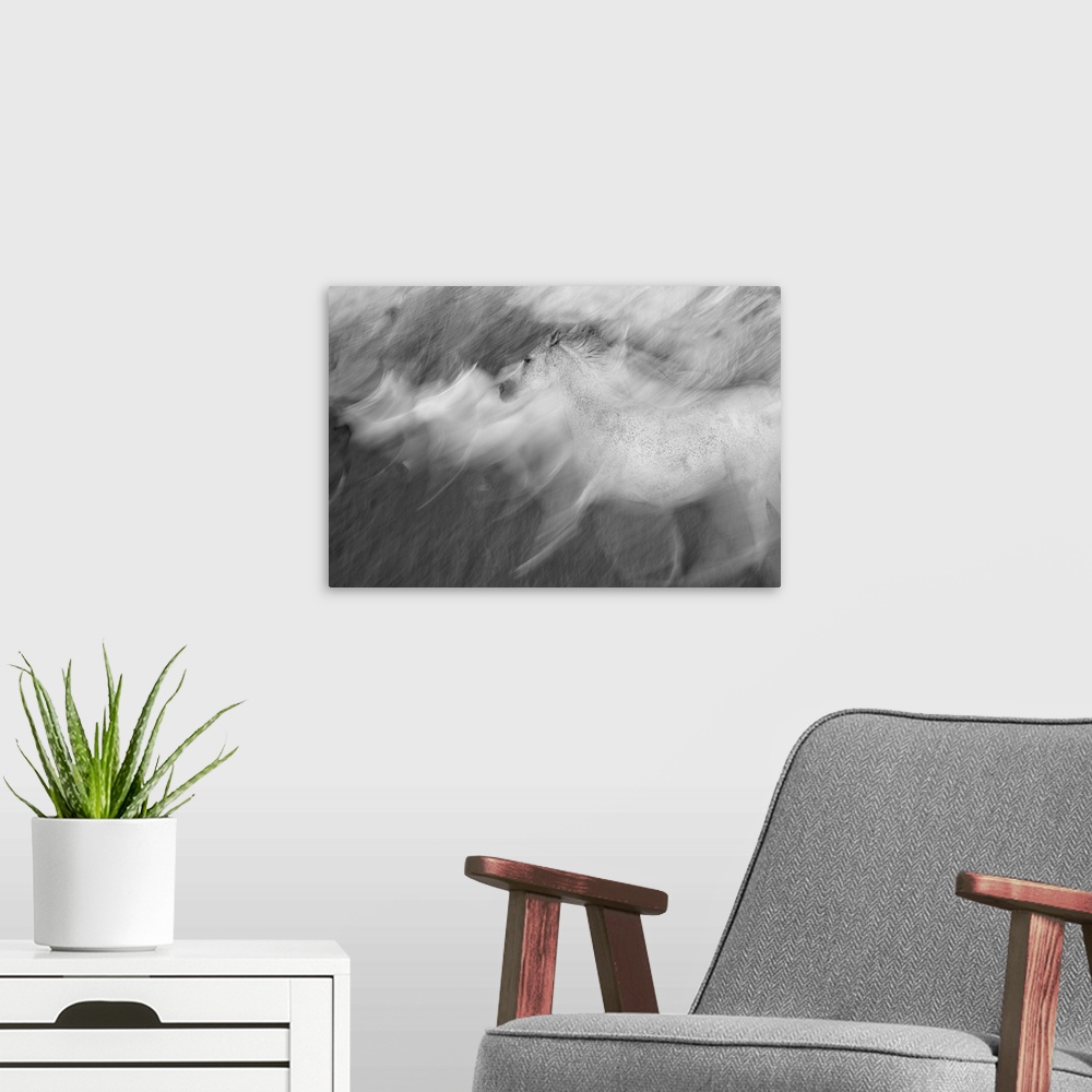 A modern room featuring Blurred motion image of a herd of white horses galloping in a field.