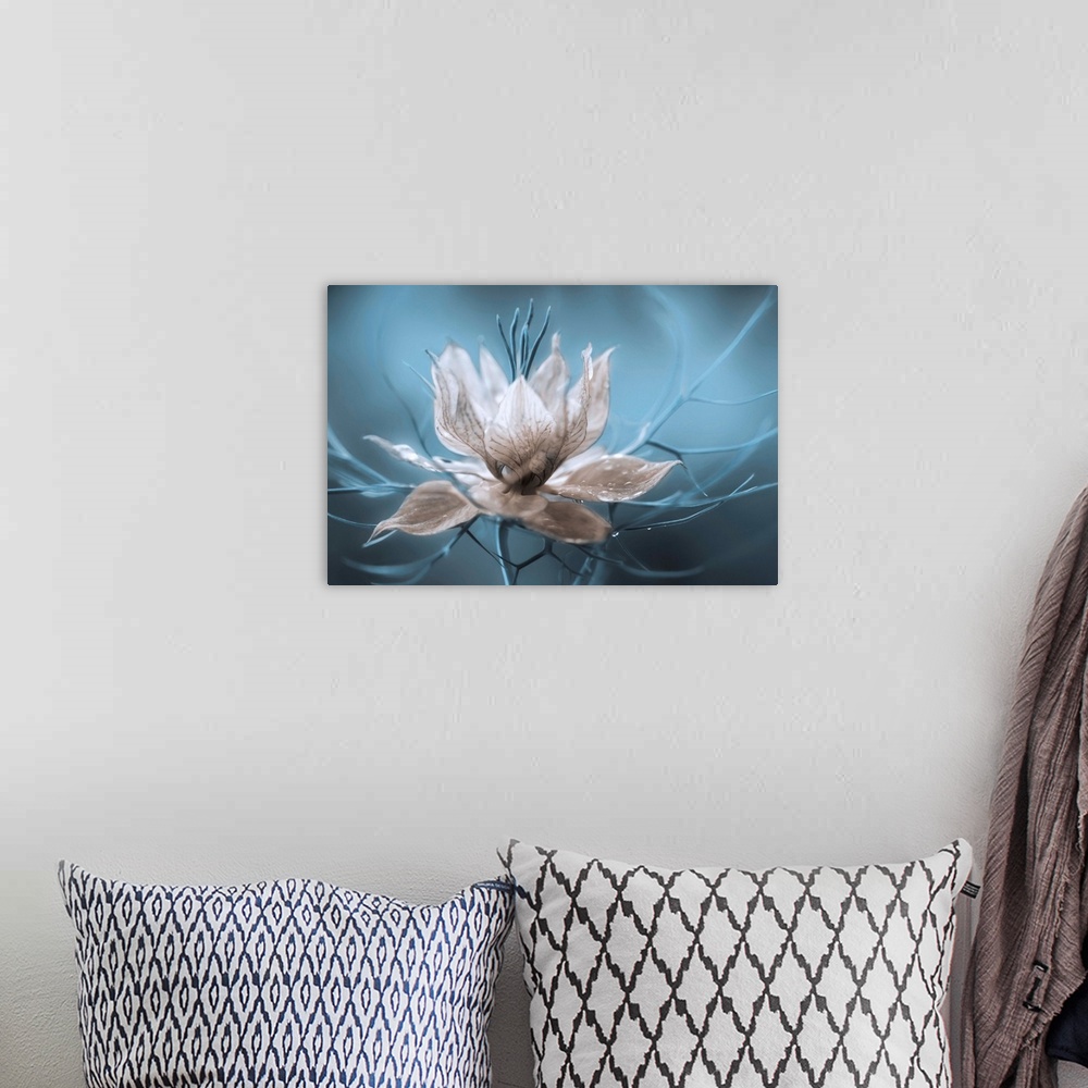 A bohemian room featuring A striking photograph of a white flower with blue branches streaming from it.