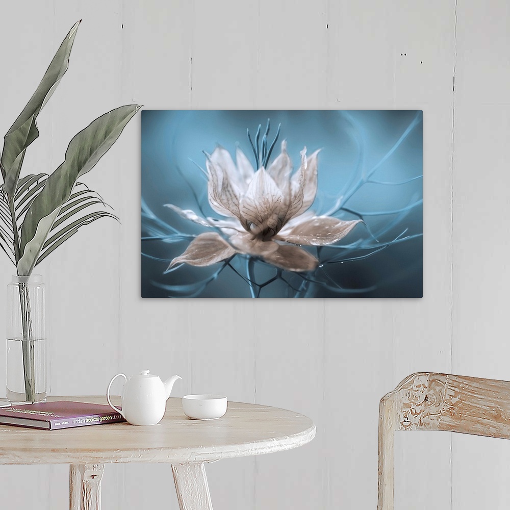A farmhouse room featuring A striking photograph of a white flower with blue branches streaming from it.
