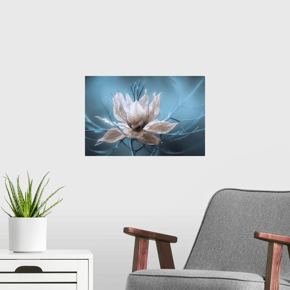 A modern room featuring A striking photograph of a white flower with blue branches streaming from it.