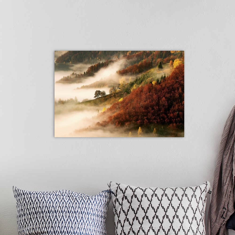 A bohemian room featuring Forests on a hillside emerging out of a dense fog in autumn.