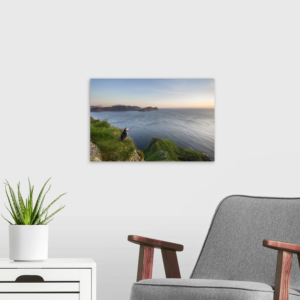 A modern room featuring An Atlantic Puffin looking out over the ocean in the evening.