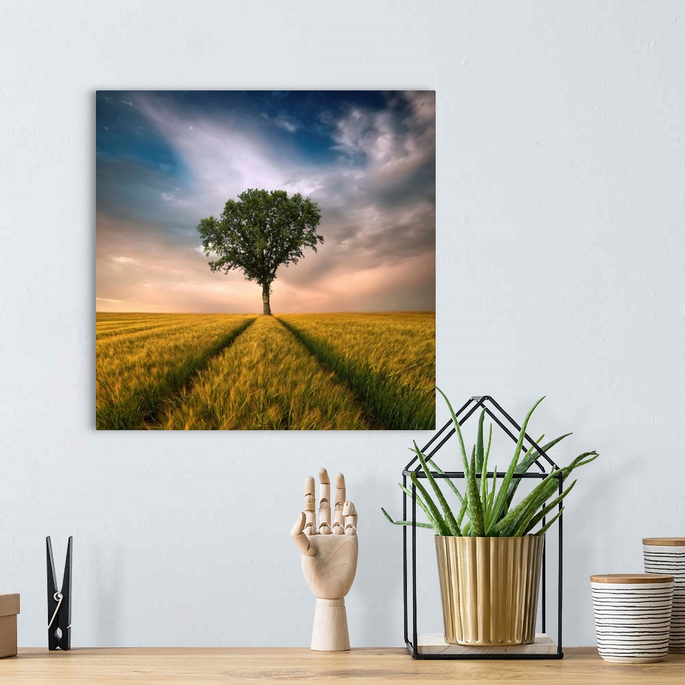 A bohemian room featuring A lone tree stands in a green field in the countryside with glowing clouds in the distance.