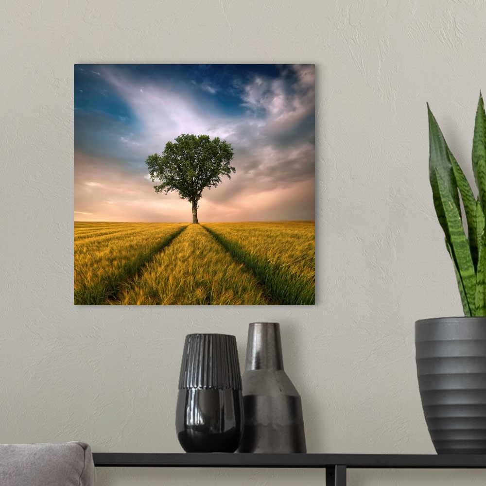 A modern room featuring A lone tree stands in a green field in the countryside with glowing clouds in the distance.