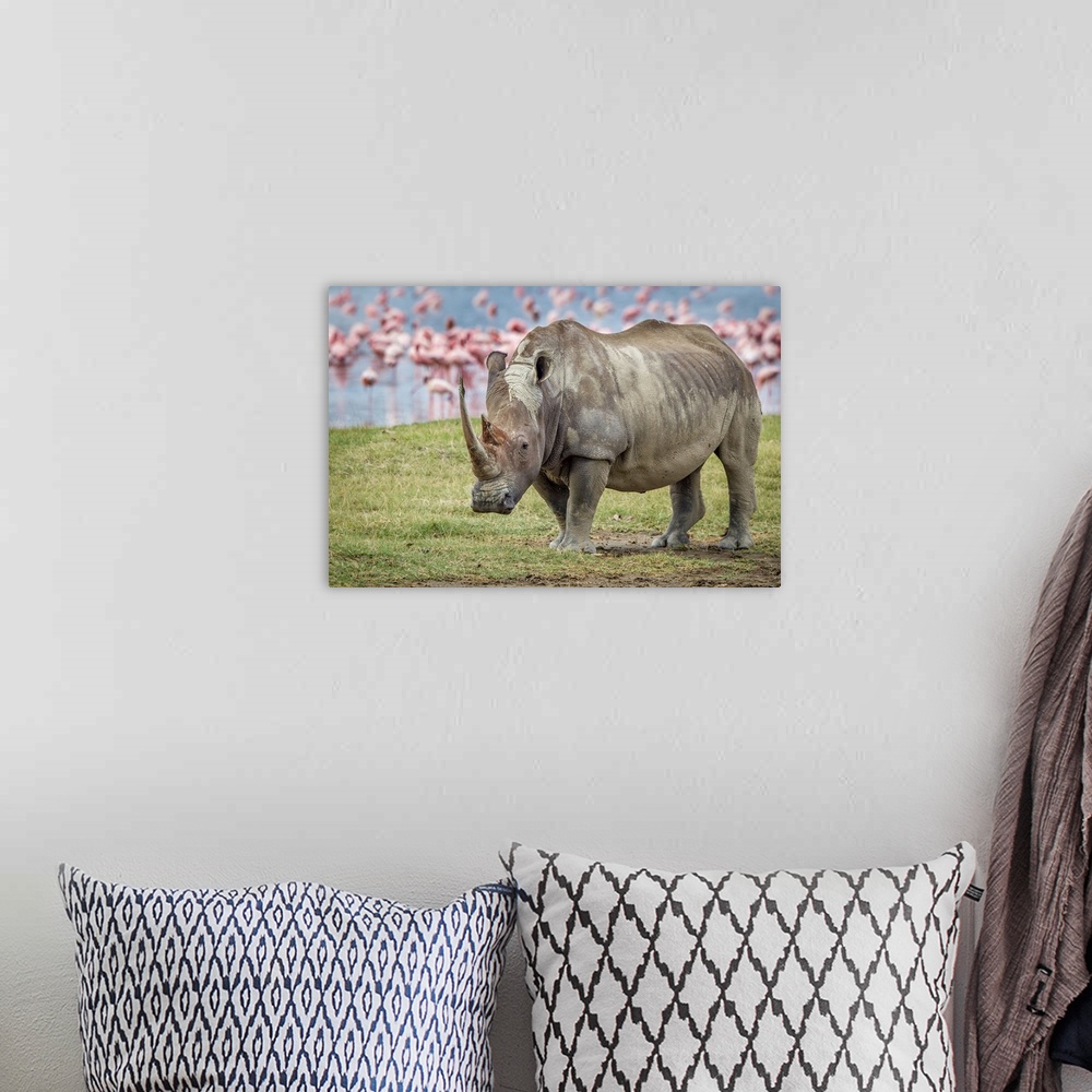 A bohemian room featuring A portrait of a rhinoceros with a group of pink flamingos in the background.