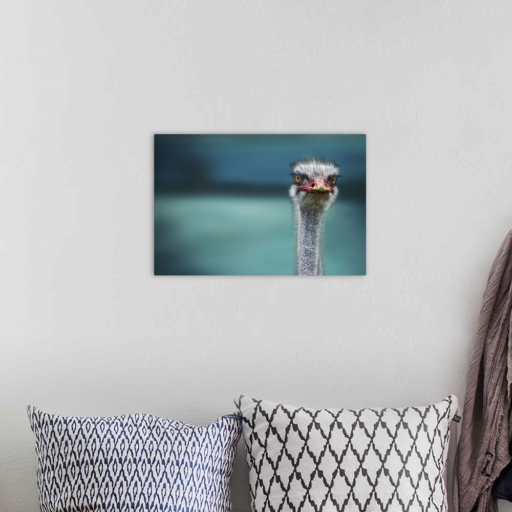 A bohemian room featuring The head and neck of an alert ostrich, with yellow dust on its beak.
