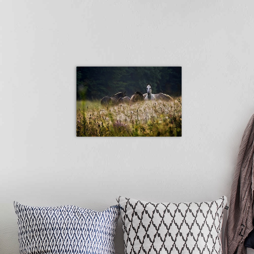 A bohemian room featuring A herd of horses with one alert white horse grazing in a field of wildflowers.