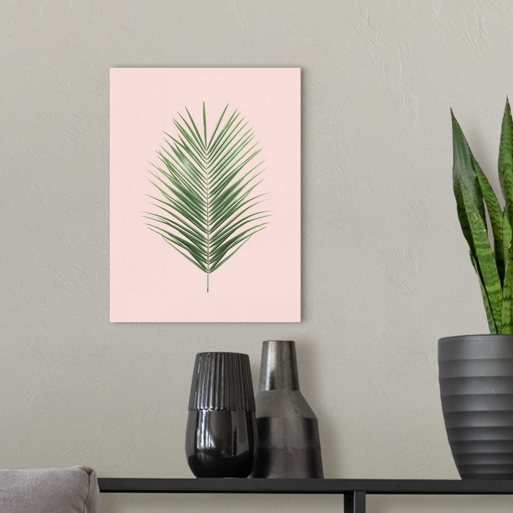 A modern room featuring Palm Leaf Blush