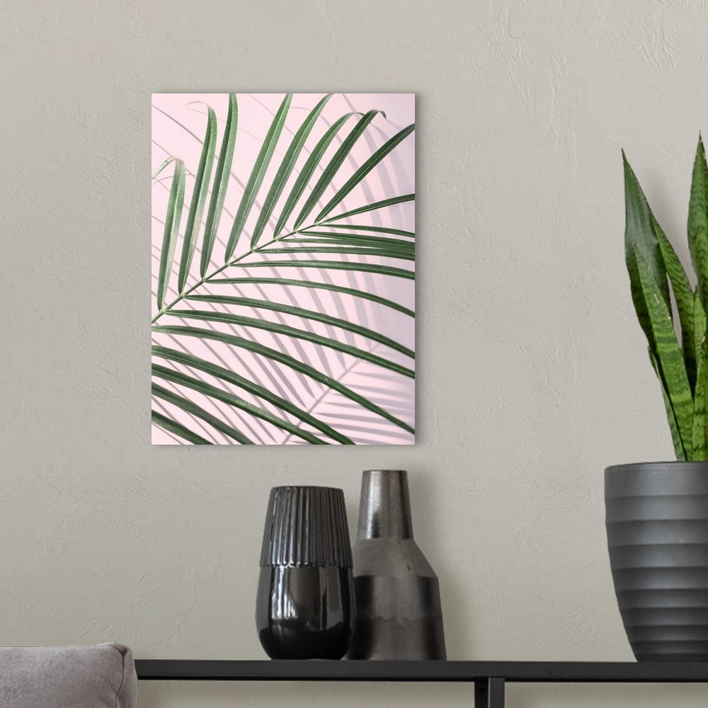 A modern room featuring Palm Leaf Shadow