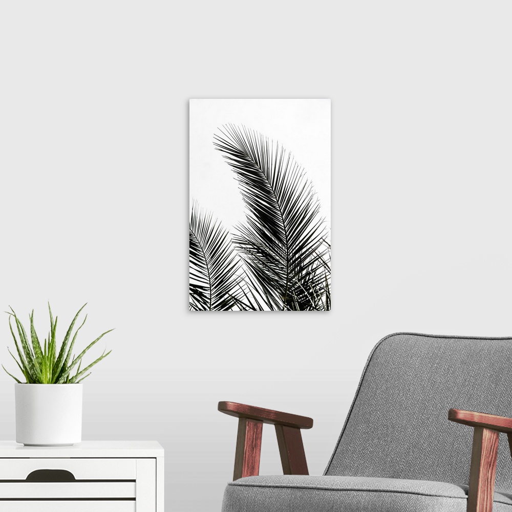 A modern room featuring Palm Leaves 1