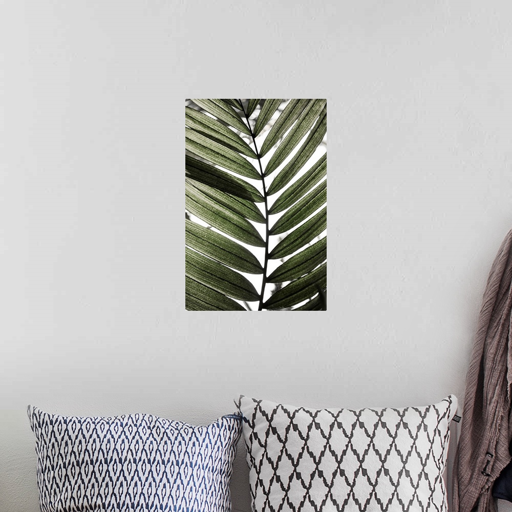 A bohemian room featuring Palm Leaves 24