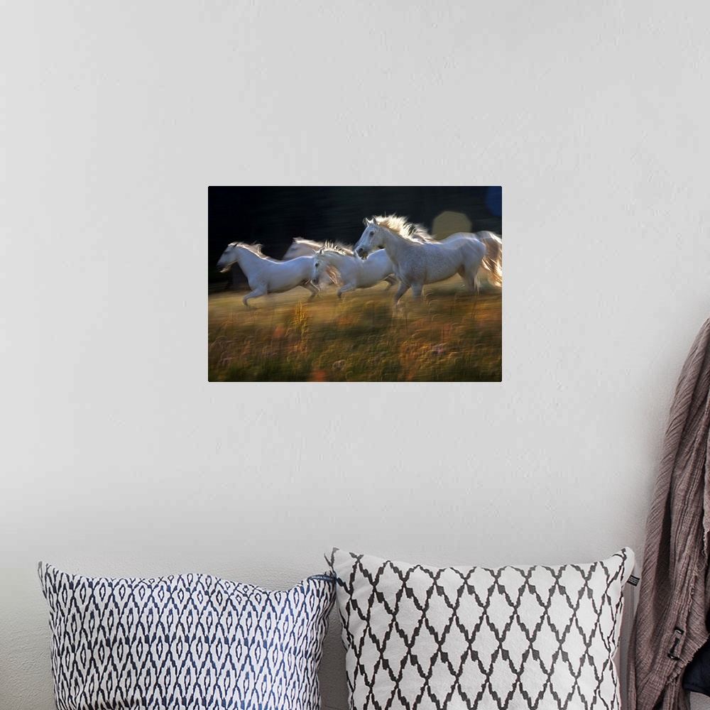 A bohemian room featuring White horses galloping across a green meadow.