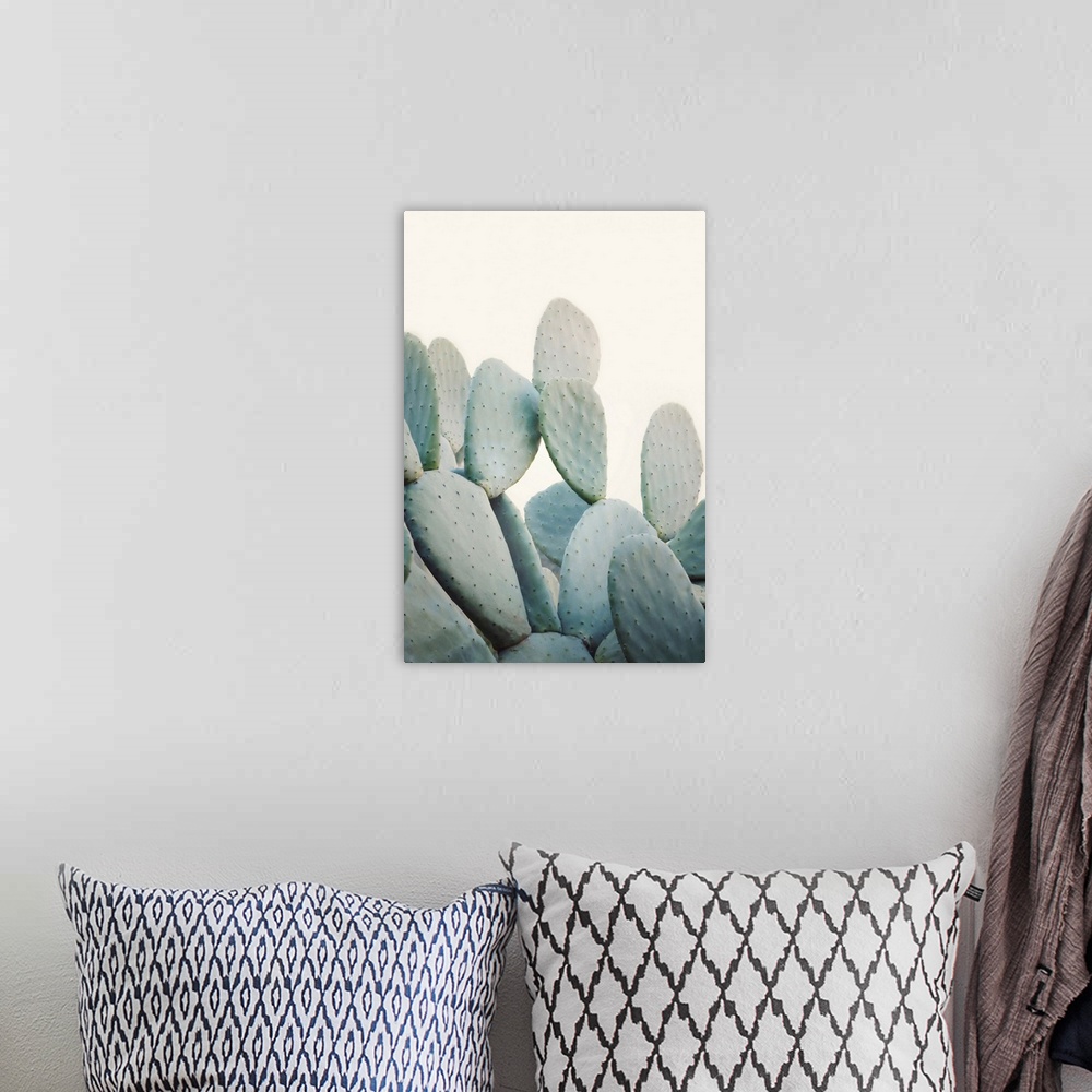 A bohemian room featuring Pastel Cacti