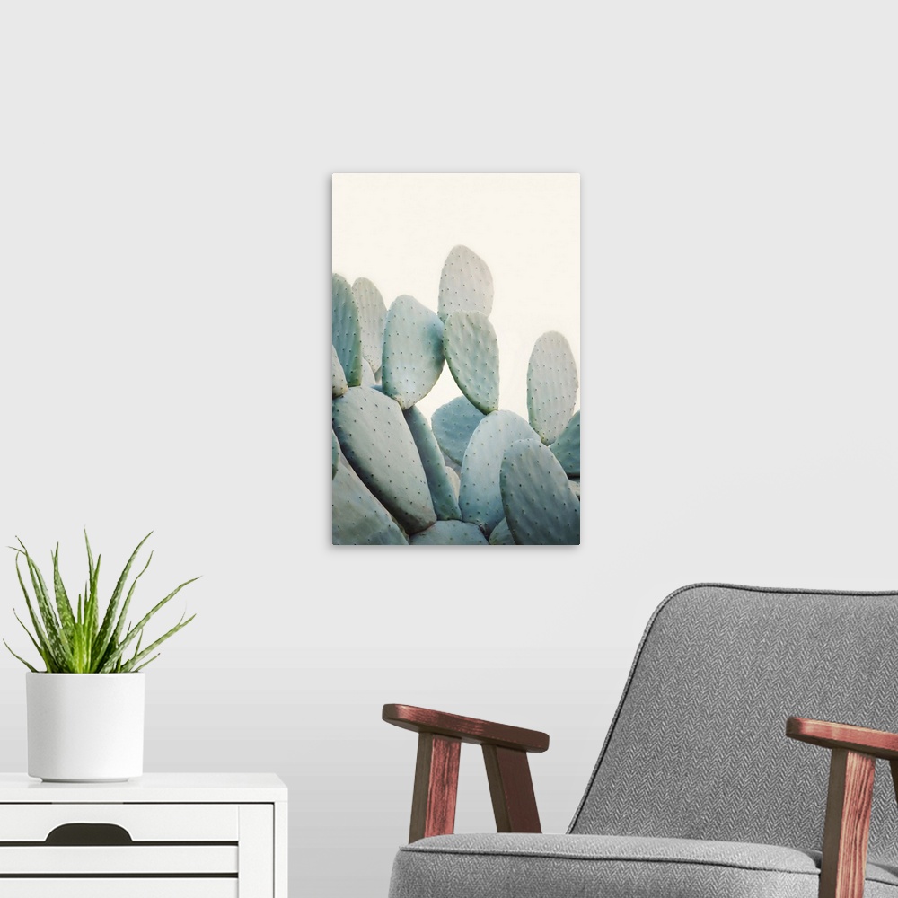 A modern room featuring Pastel Cacti