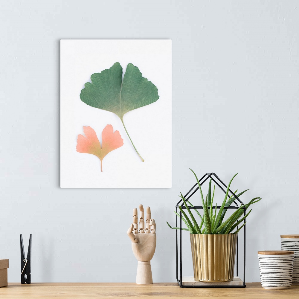 A bohemian room featuring Pastel Ginkgo
