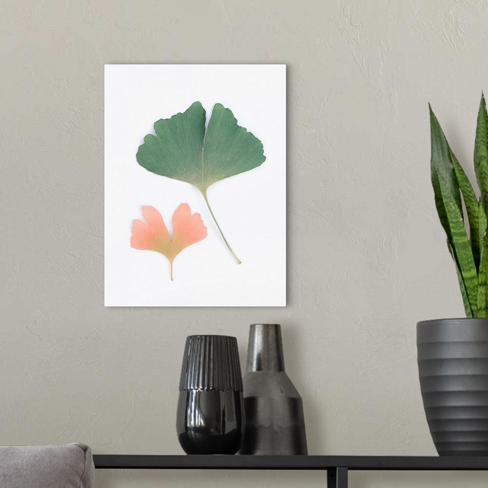 A modern room featuring Pastel Ginkgo