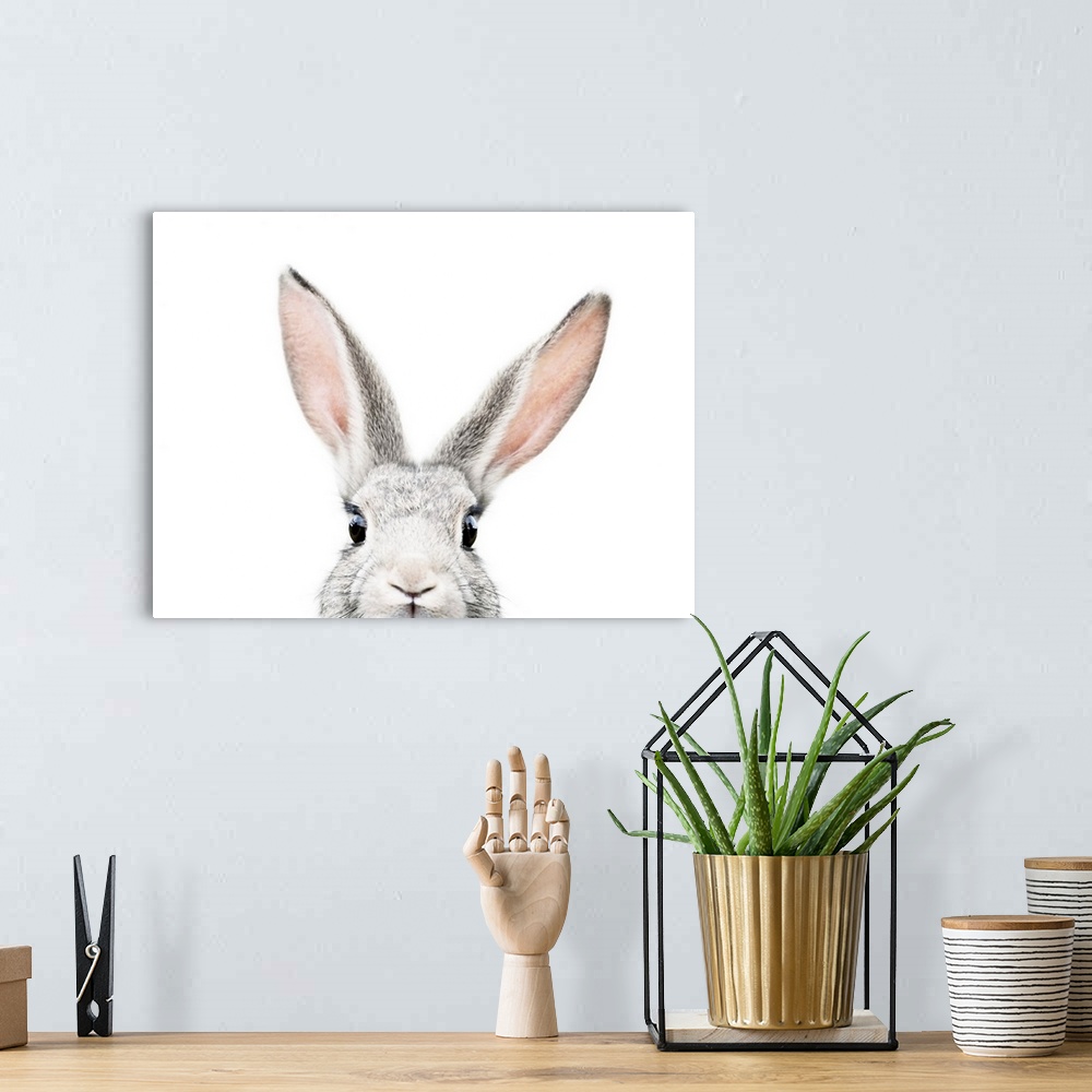 A bohemian room featuring Peeking Bunny