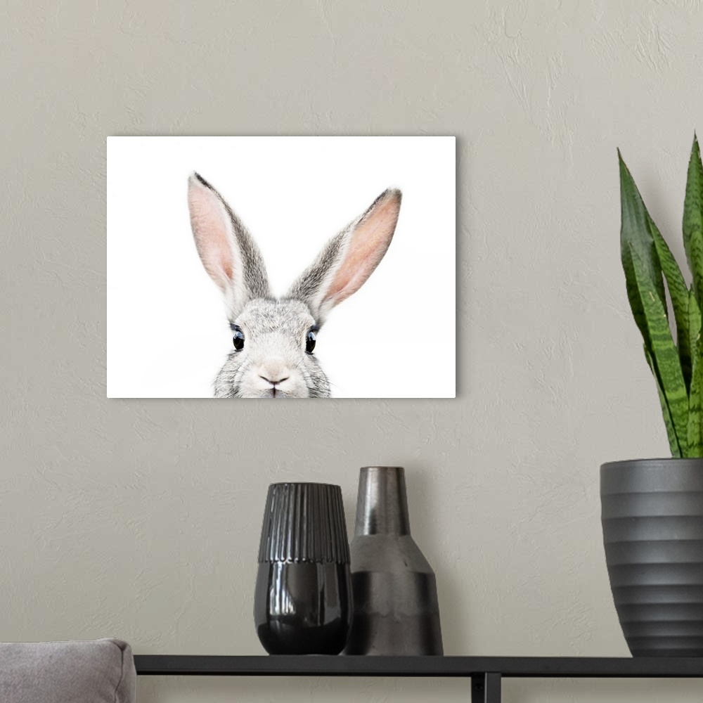 A modern room featuring Peeking Bunny