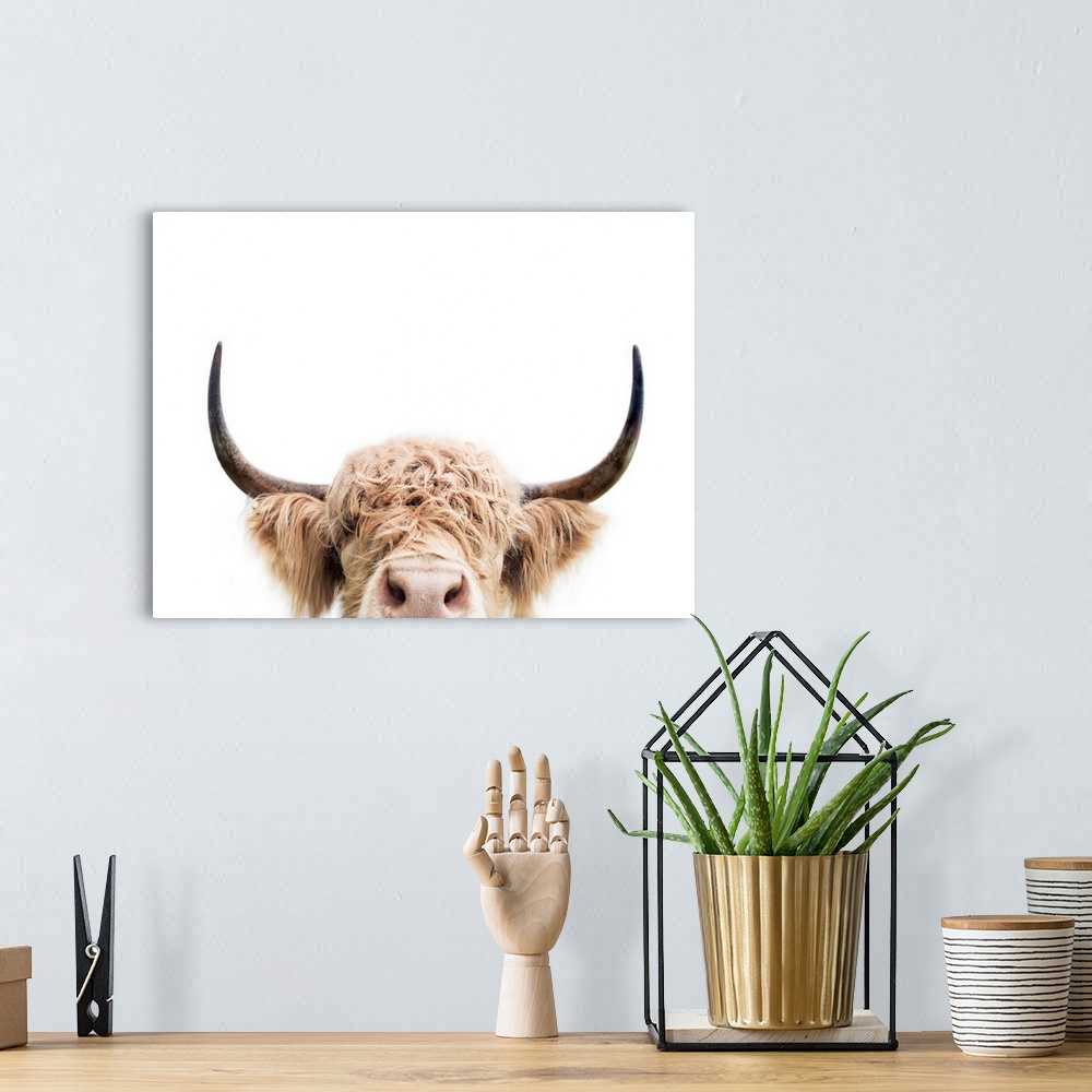 A bohemian room featuring Peeking Cow