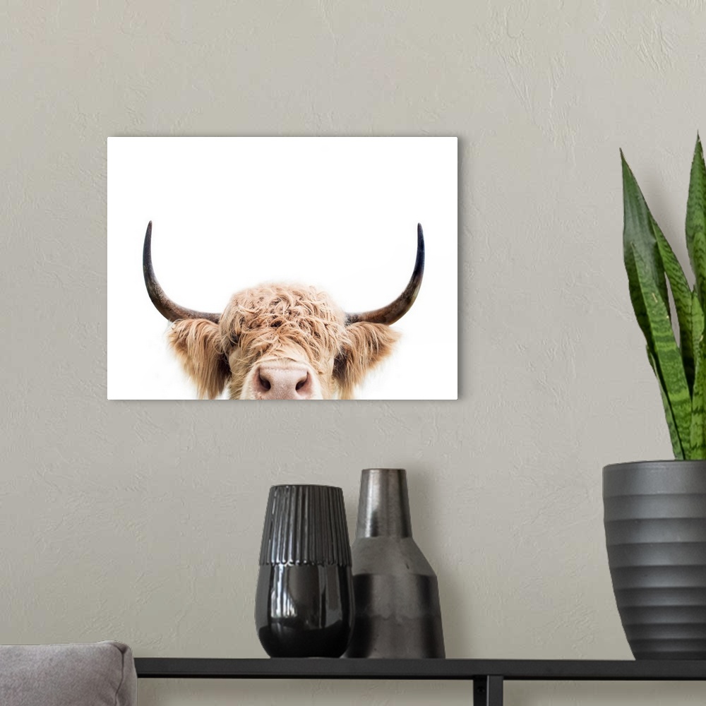 A modern room featuring Peeking Cow