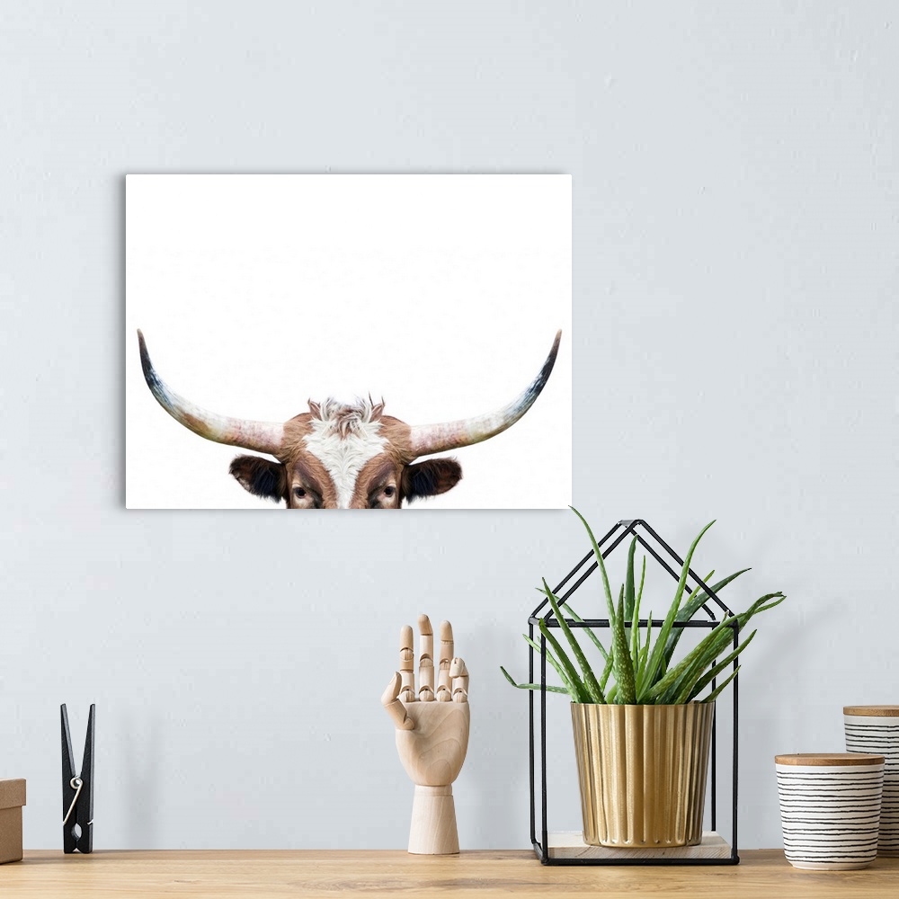 A bohemian room featuring Peeking Longhorn Cow