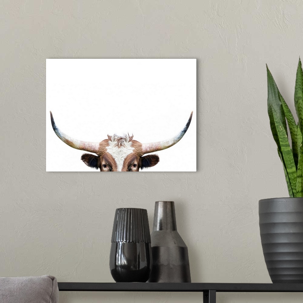 A modern room featuring Peeking Longhorn Cow