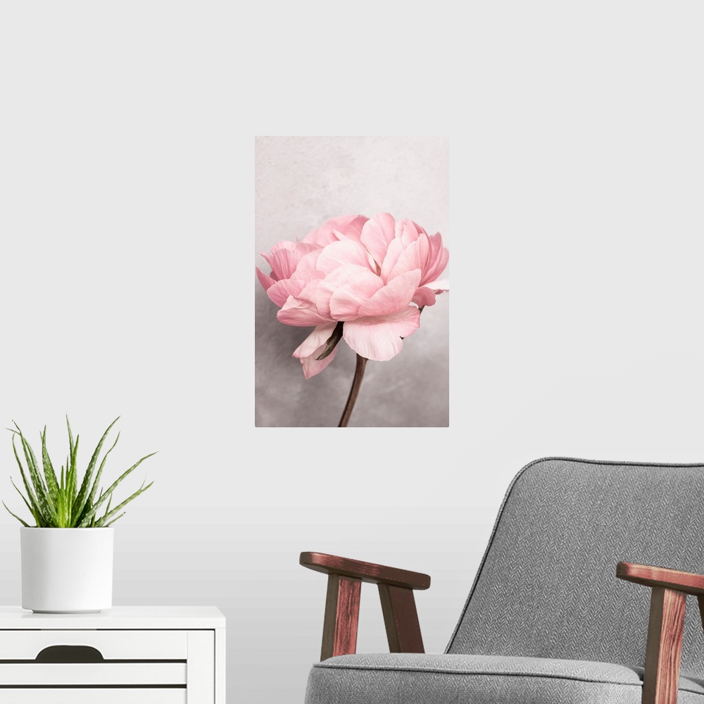A modern room featuring Peony