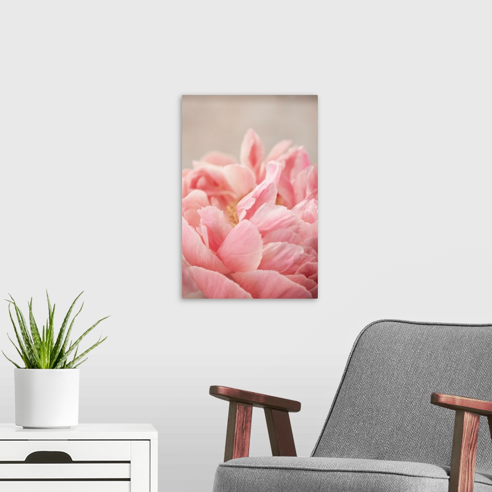 A modern room featuring Peony 4