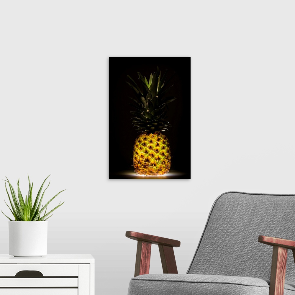 A modern room featuring Pineapple
