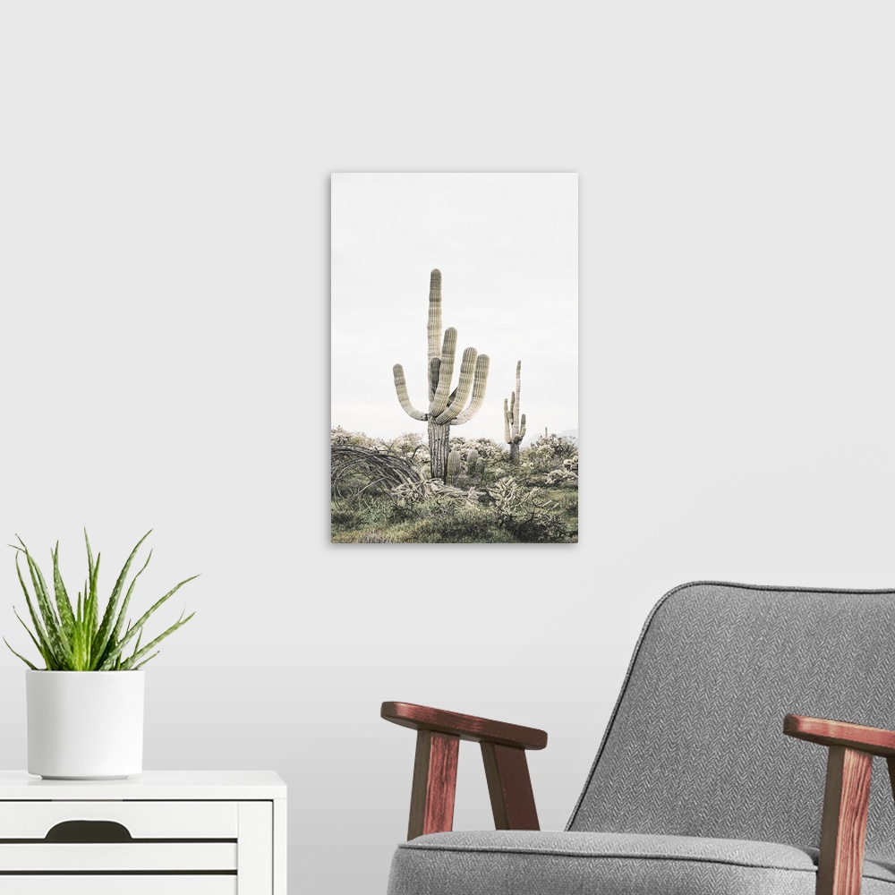 A modern room featuring Pink Saguaro