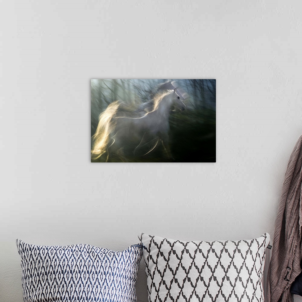 A bohemian room featuring Multiple exposure photograph of a white horse standing in a forest.