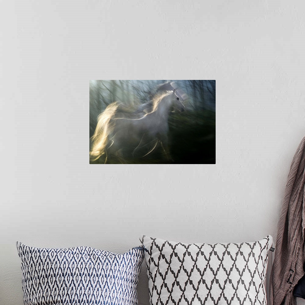 A bohemian room featuring Multiple exposure photograph of a white horse standing in a forest.