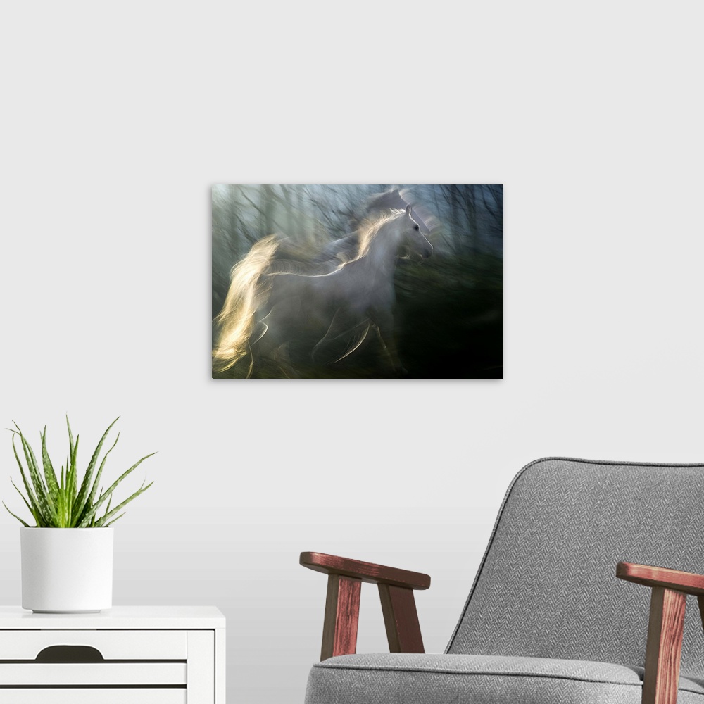 A modern room featuring Multiple exposure photograph of a white horse standing in a forest.