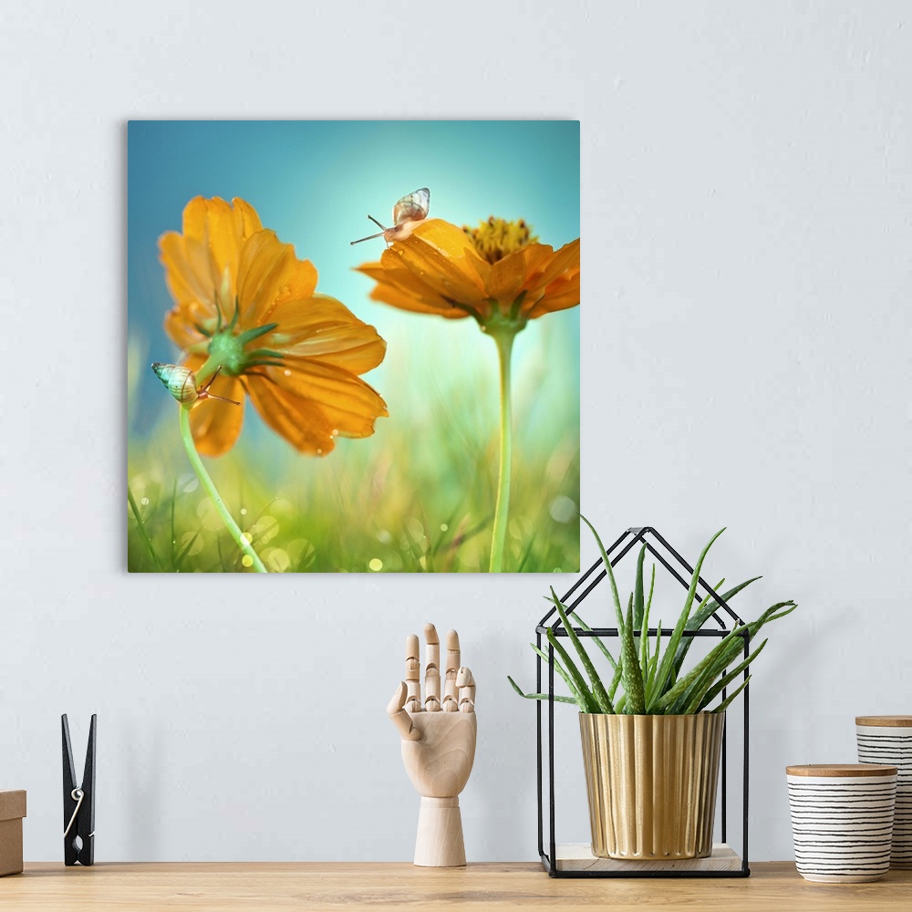 A bohemian room featuring Two snails crawling on two orange flowers in the grass.