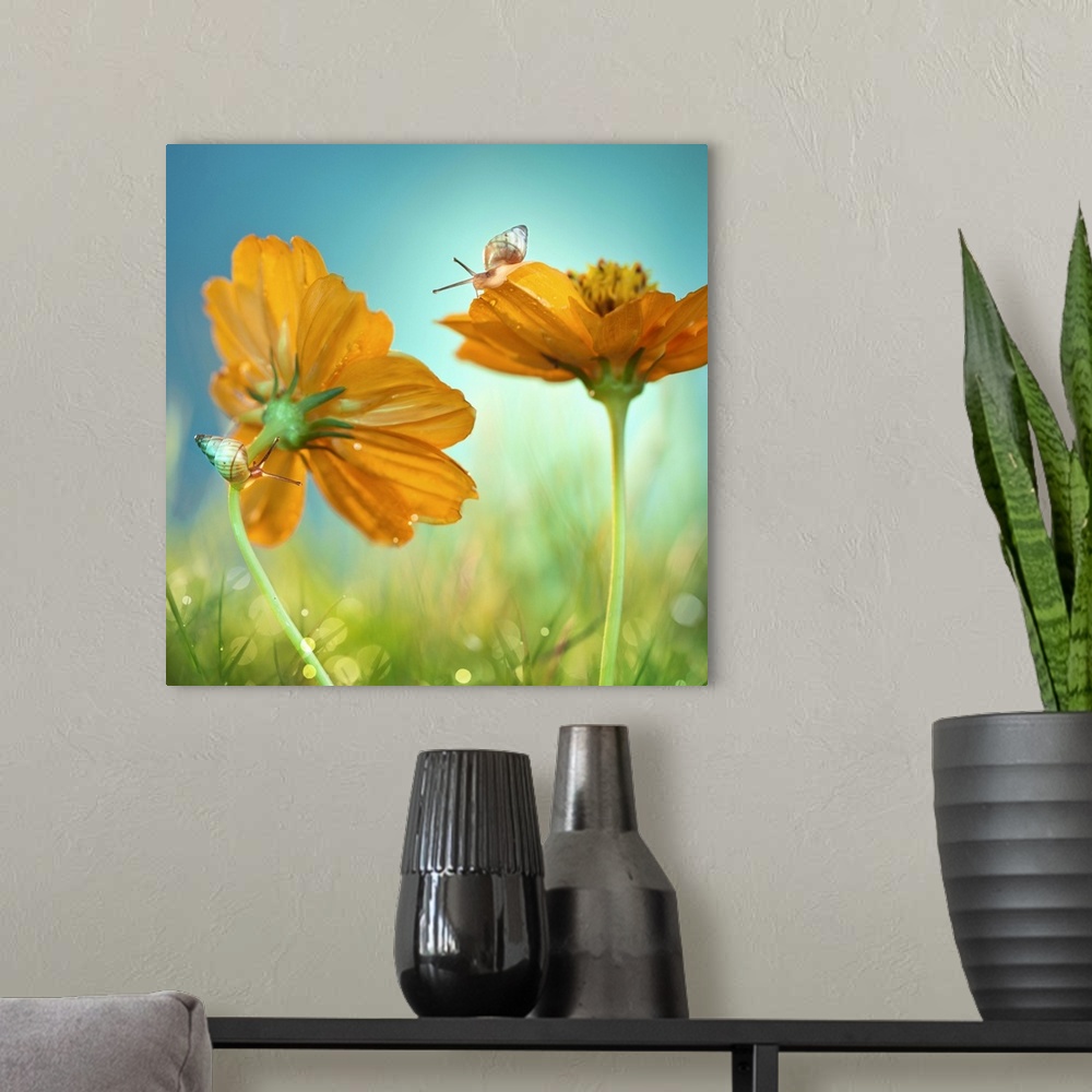 A modern room featuring Two snails crawling on two orange flowers in the grass.