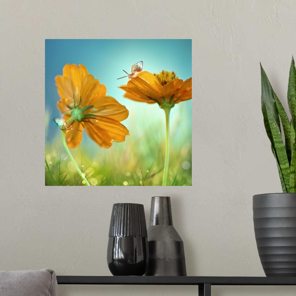 A modern room featuring Two snails crawling on two orange flowers in the grass.
