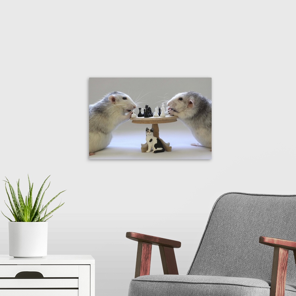 A modern room featuring Two rats playing with a miniature chessboard.