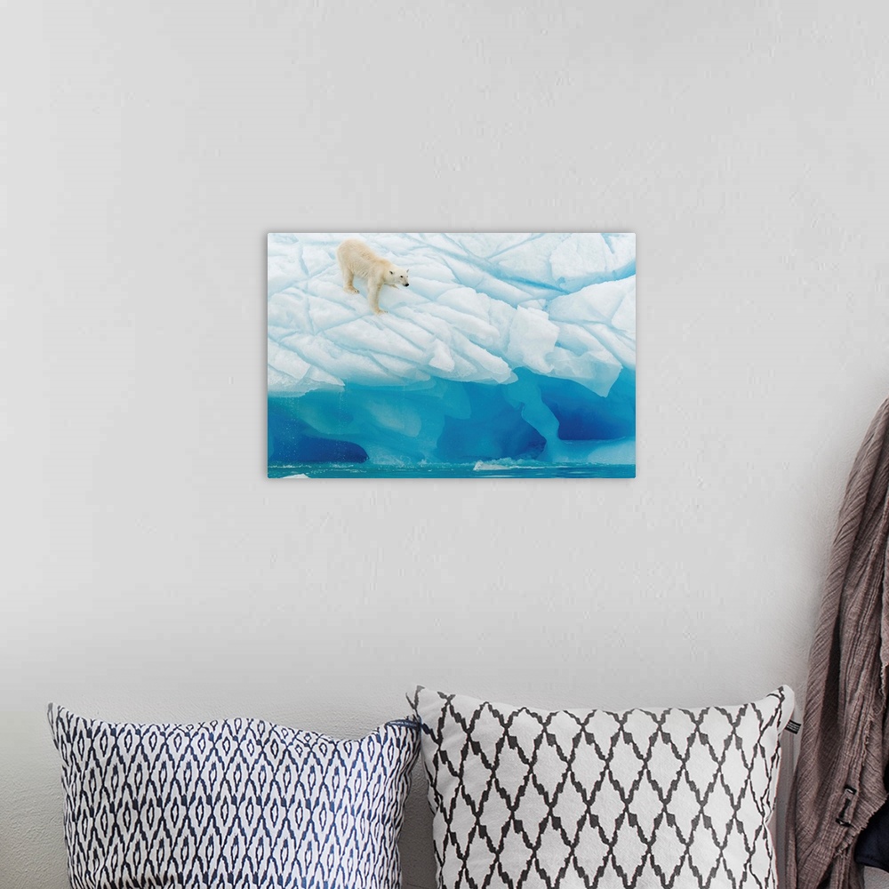 A bohemian room featuring A polar bear on the edge of a glacier.