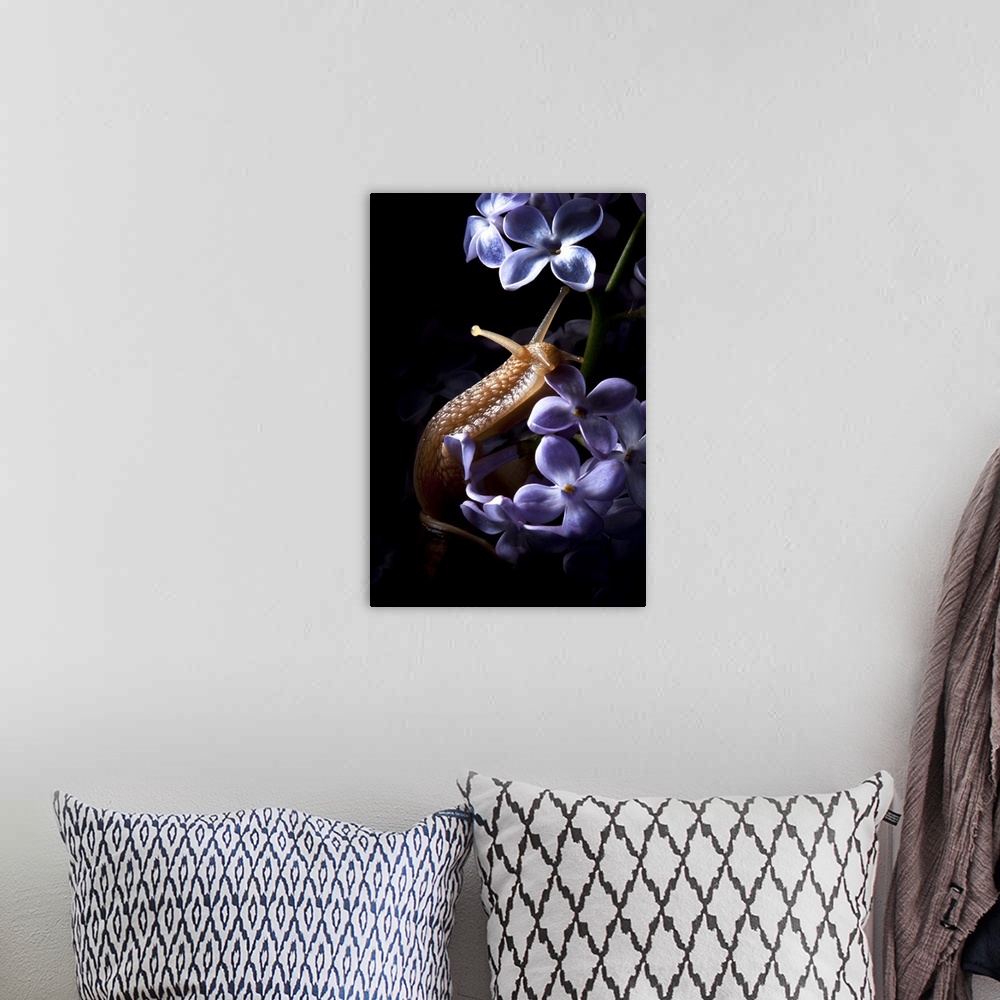 A bohemian room featuring A snail crawling up small lilac flowers.