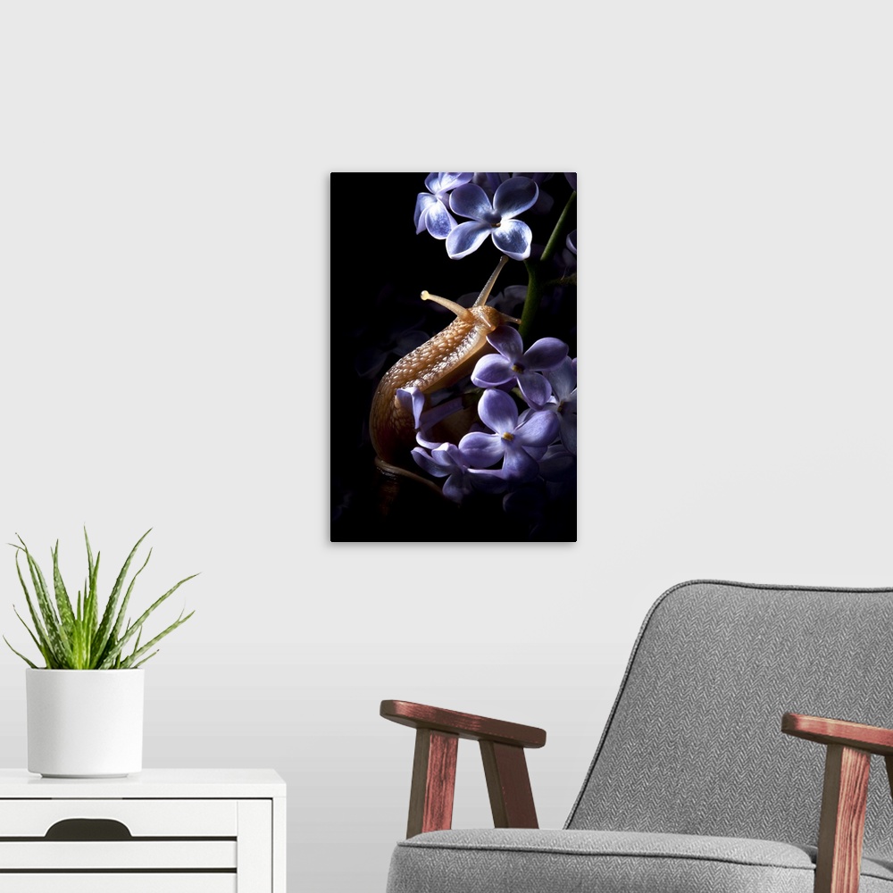 A modern room featuring A snail crawling up small lilac flowers.